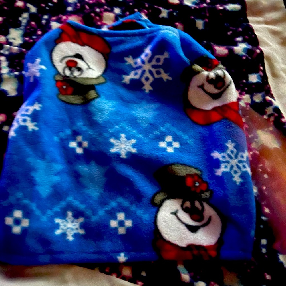 New Frosty the Snowman double Velcro doggie sweater